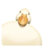 [凝视]
