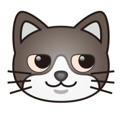 cat with wry smile