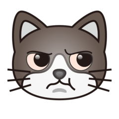 pouting cat