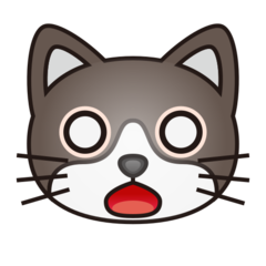 weary cat