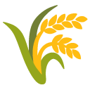 Google Emoji
