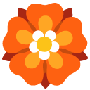Google Emoji
