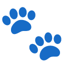 Google Emoji