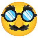 disguised face