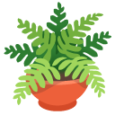 Google Emoji