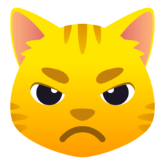pouting cat