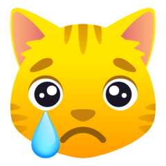 crying cat