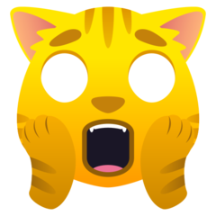 weary cat