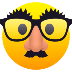 disguised face