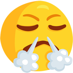 face with steam from nose