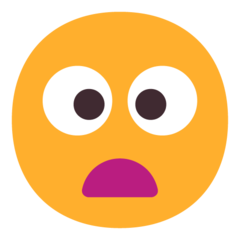 frowning face with open mouth
