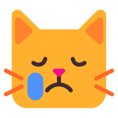 crying cat