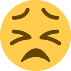persevering face
