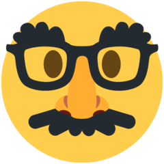 disguised face